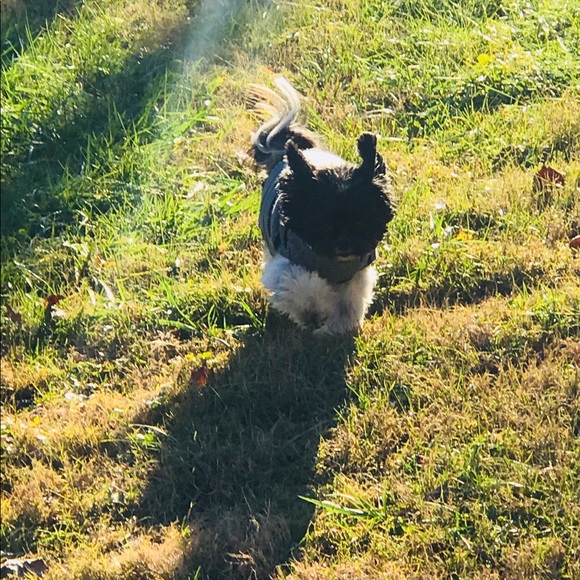 Meet your Posher, Sommer - Picture 7 of 8